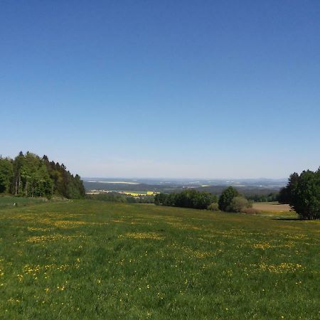 Ubytovani Ronsperk Pobezovice Экстерьер фото