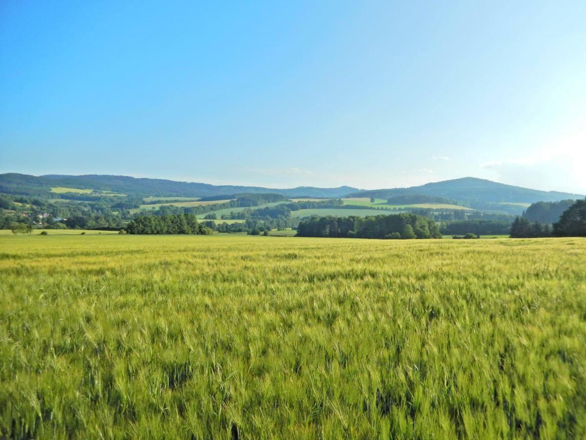 Ubytovani Ronsperk Pobezovice Экстерьер фото