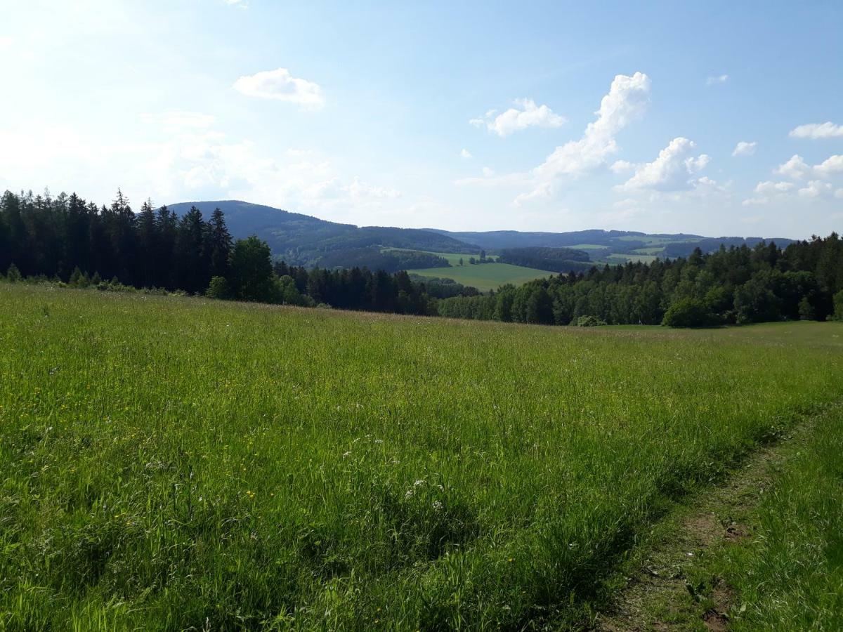 Ubytovani Ronsperk Pobezovice Экстерьер фото